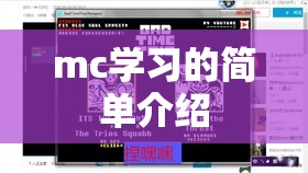mc学习的简单介绍