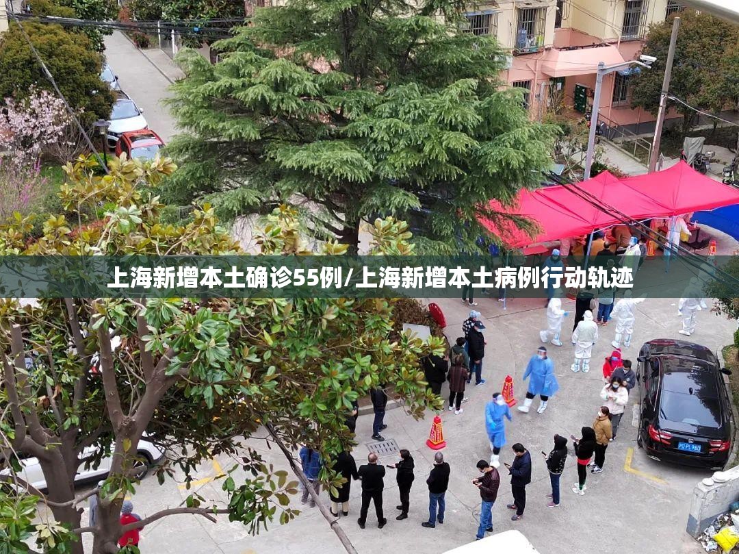 上海新增本土确诊55例/上海新增本土病例行动轨迹