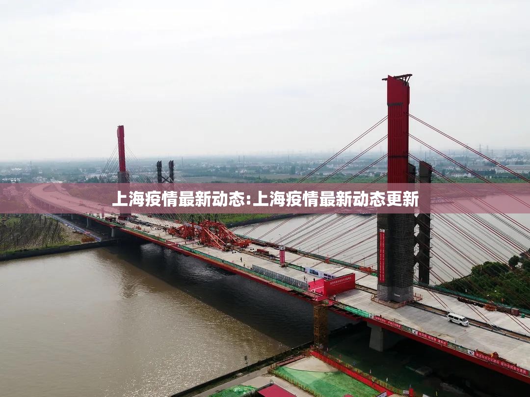上海疫情最新动态:上海疫情最新动态更新