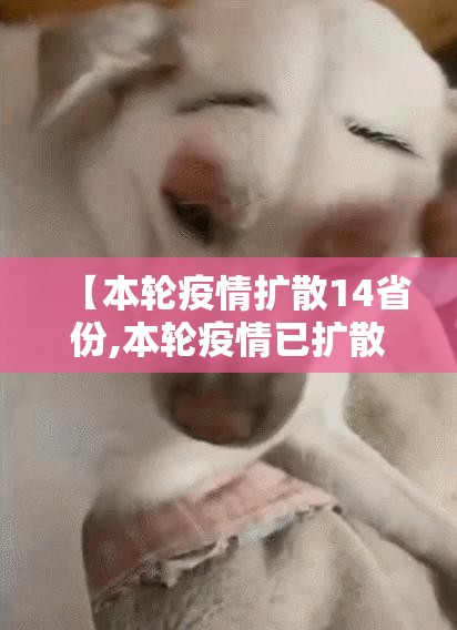 【本轮疫情扩散14省份,本轮疫情已扩散至14省】