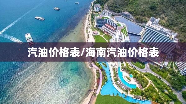 汽油价格表/海南汽油价格表
