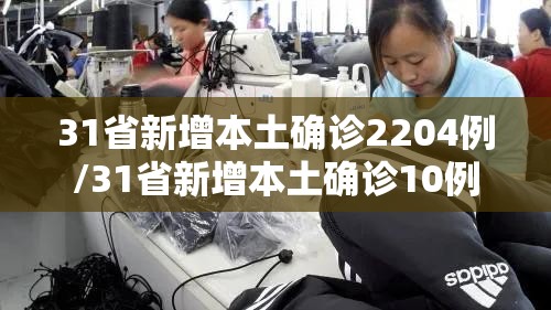 31省新增本土确诊2204例/31省新增本土确诊10例