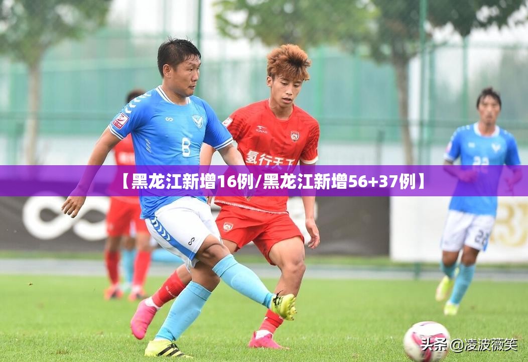 【黑龙江新增16例/黑龙江新增56+37例】