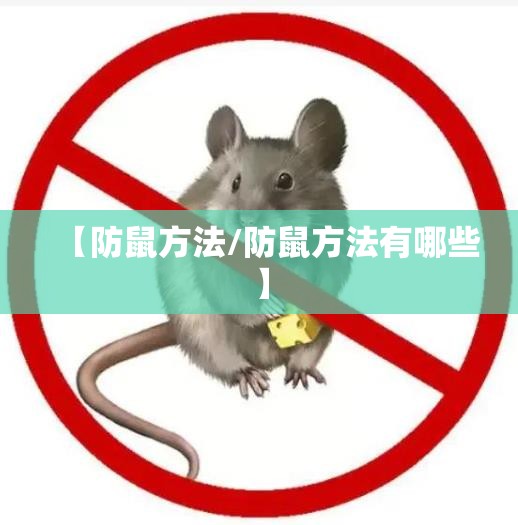 【防鼠方法/防鼠方法有哪些】