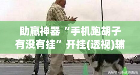 助赢神器“手机跑胡子有没有挂”开挂(透视)辅助神器