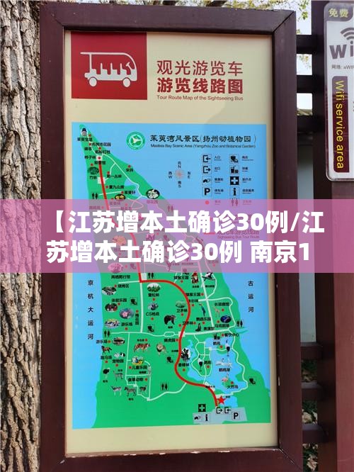 【江苏增本土确诊30例/江苏增本土确诊30例 南京14扬州12】
