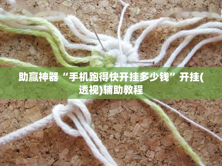 助赢神器“手机跑得快开挂多少钱”开挂(透视)辅助教程