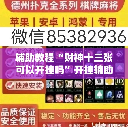 辅助教程“财神十三张可以开挂吗”开挂辅助脚本+详细开挂安装教程