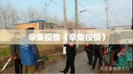 辛集疫情（辛集役情）