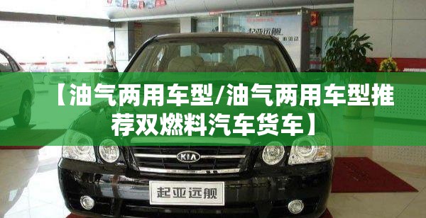 【油气两用车型/油气两用车型推荐双燃料汽车货车】