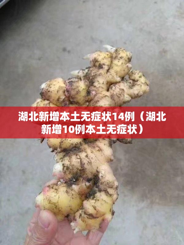 湖北新增本土无症状14例（湖北新增10例本土无症状）