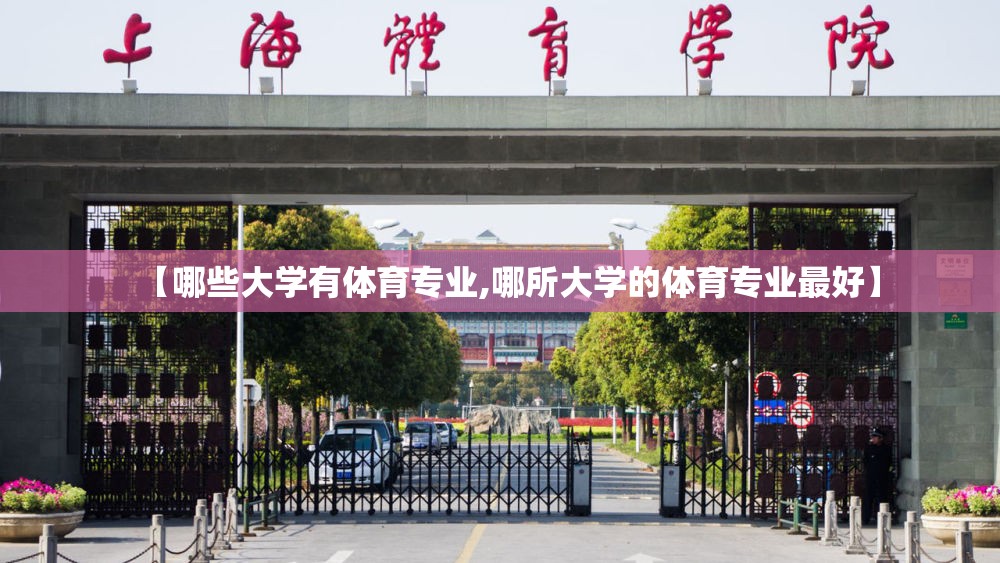 【哪些大学有体育专业,哪所大学的体育专业最好】