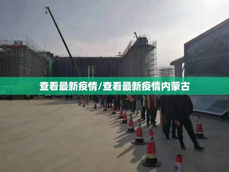 查看最新疫情/查看最新疫情内蒙古