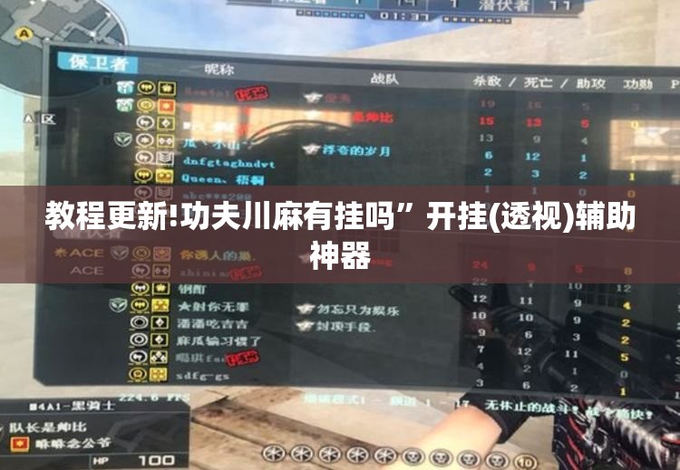 教程更新!功夫川麻有挂吗”开挂(透视)辅助神器
