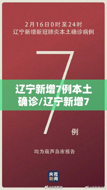 辽宁新增7例本土确诊/辽宁新增7例本土新冠肺炎确诊病例