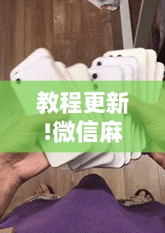 教程更新!微信麻将小程序万能开挂器	”其实确实有挂
