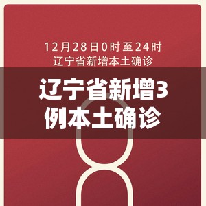 辽宁省新增3例本土确诊（辽宁省新增3例本土确诊轨迹）