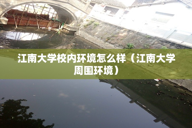 江南大学校内环境怎么样（江南大学周围环境）