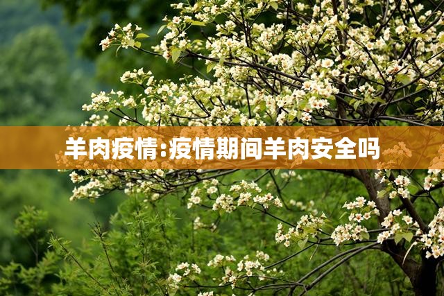 羊肉疫情:疫情期间羊肉安全吗