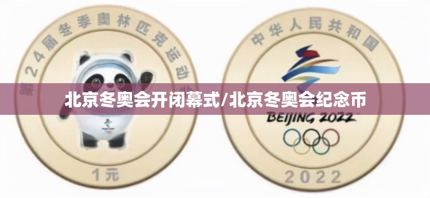 北京冬奥会开闭幕式/北京冬奥会纪念币