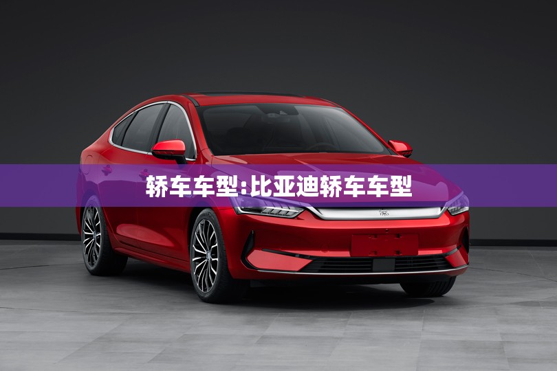 轿车车型:比亚迪轿车车型