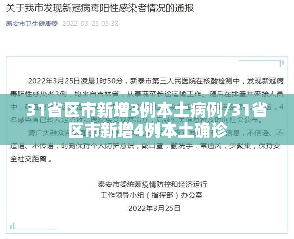31省区市新增3例本土病例/31省区市新增4例本土确诊