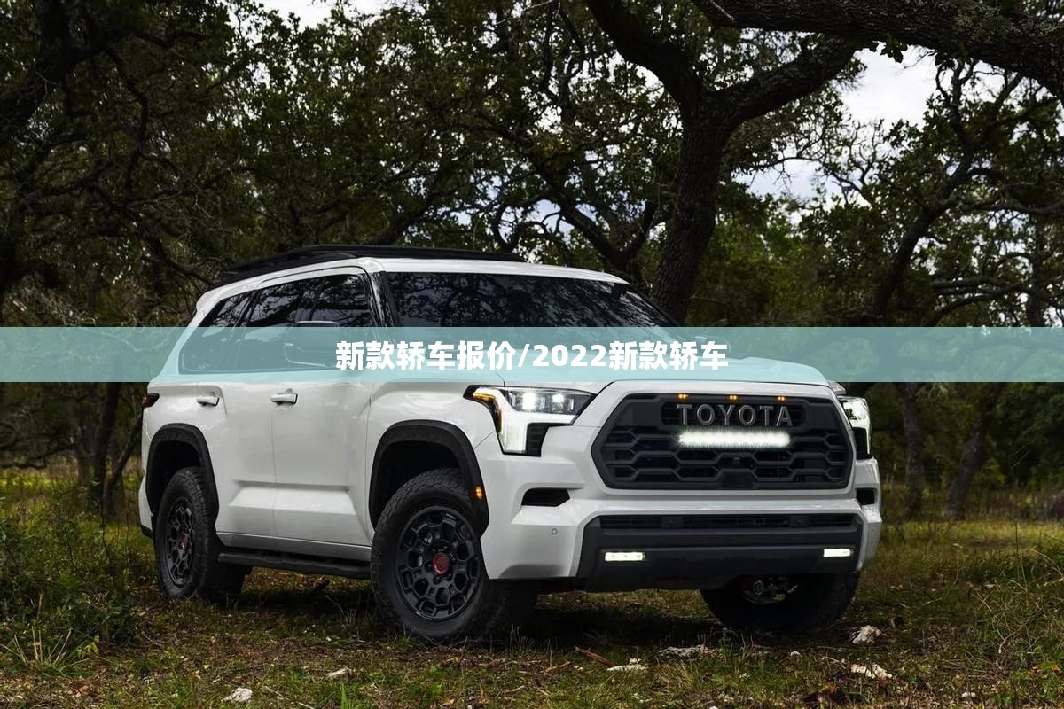 新款轿车报价/2022新款轿车