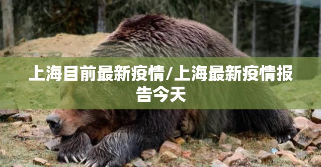 上海目前最新疫情/上海最新疫情报告今天