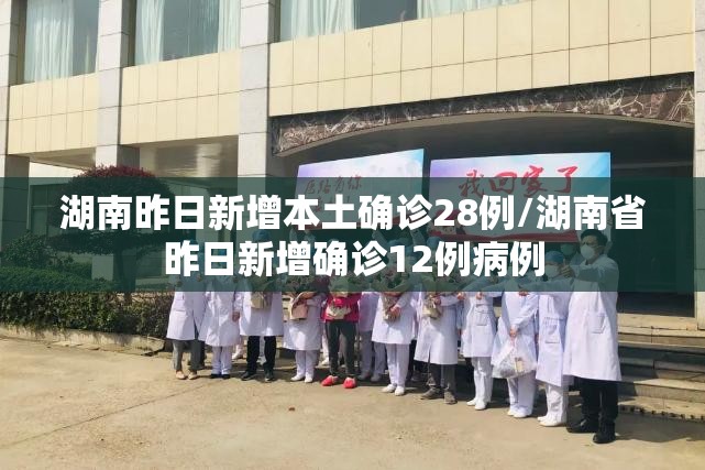 湖南昨日新增本土确诊28例/湖南省昨日新增确诊12例病例