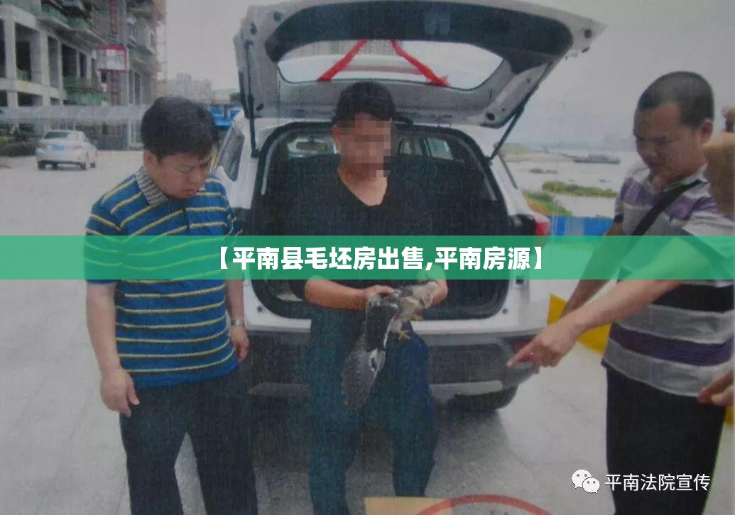 【平南县毛坯房出售,平南房源】