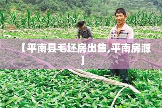 【平南县毛坯房出售,平南房源】