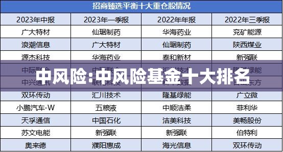 中风险:中风险基金十大排名