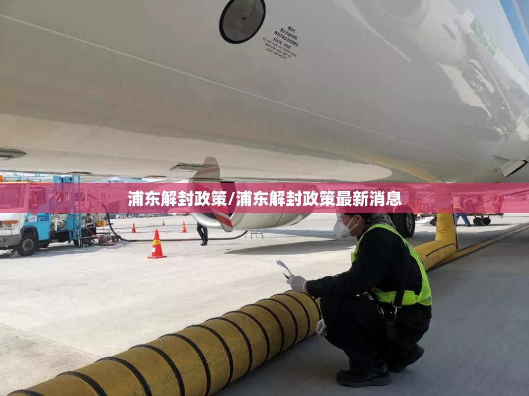 浦东解封政策/浦东解封政策最新消息