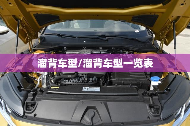 溜背车型/溜背车型一览表