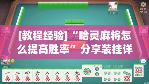 [教程经验]“哈灵麻将怎么提高胜率	”分享装挂详细步骤