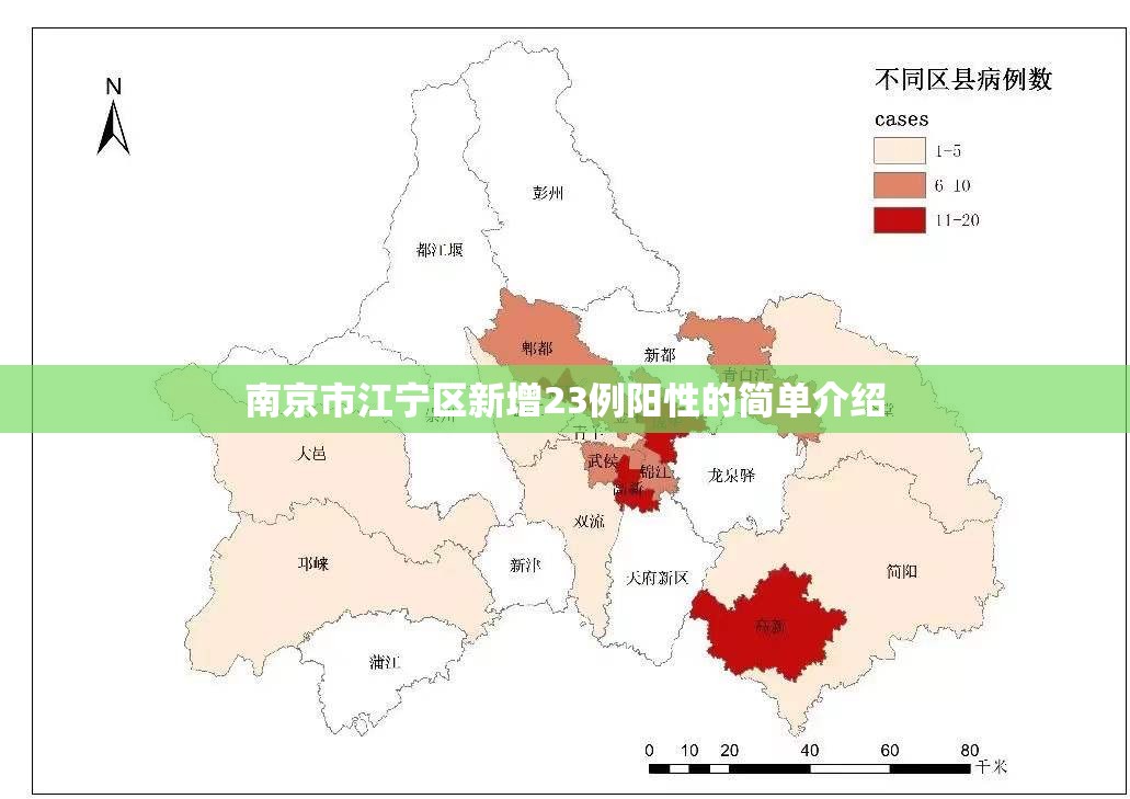 南京市江宁区新增23例阳性的简单介绍