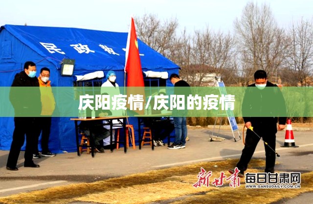 庆阳疫情/庆阳的疫情