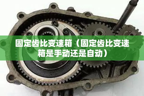 固定齿比变速箱（固定齿比变速箱是手动还是自动）