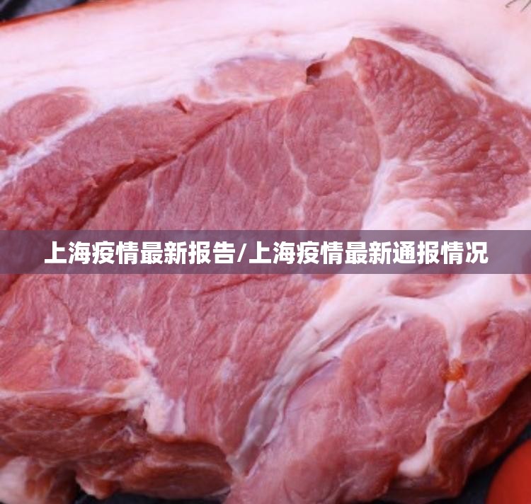 上海疫情最新报告/上海疫情最新通报情况