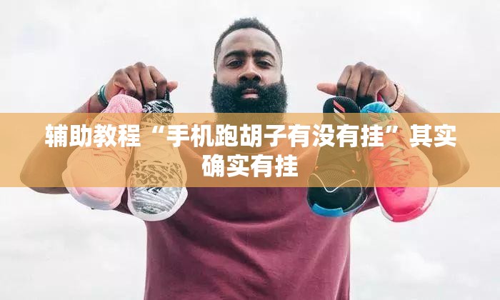 辅助教程“手机跑胡子有没有挂”其实确实有挂