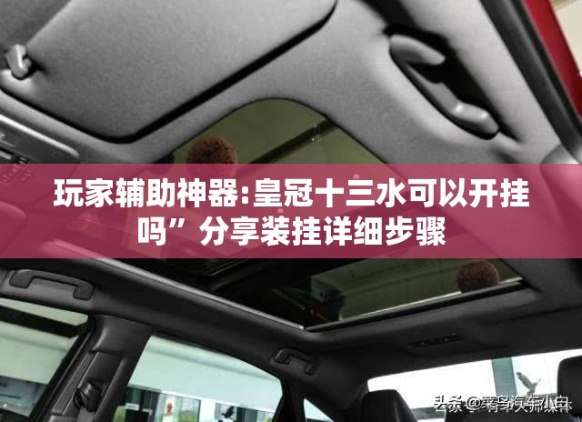 玩家辅助神器:皇冠十三水可以开挂吗”分享装挂详细步骤