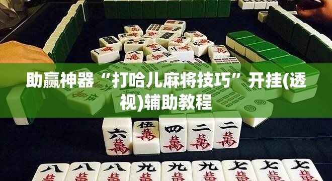助赢神器“打哈儿麻将技巧	”开挂(透视)辅助教程