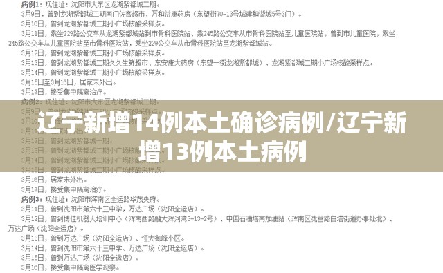 辽宁新增14例本土确诊病例/辽宁新增13例本土病例