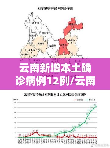 云南新增本土确诊病例12例/云南新增本土确诊病例情况