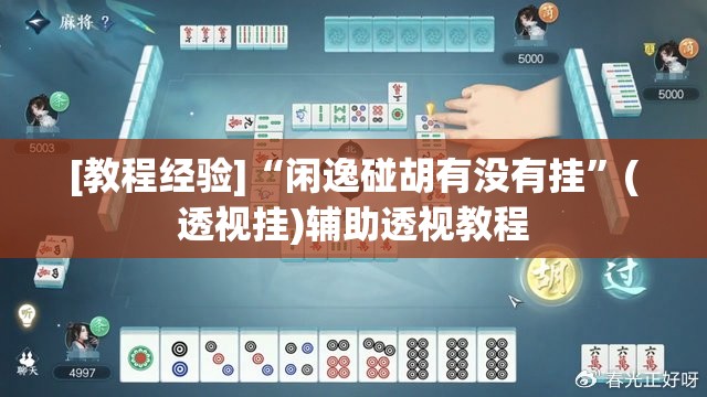 [教程经验]“闲逸碰胡有没有挂”(透视挂)辅助透视教程