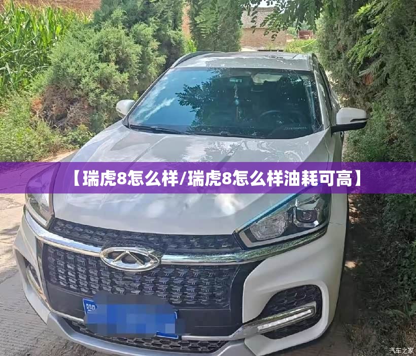 【瑞虎8怎么样/瑞虎8怎么样油耗可高】
