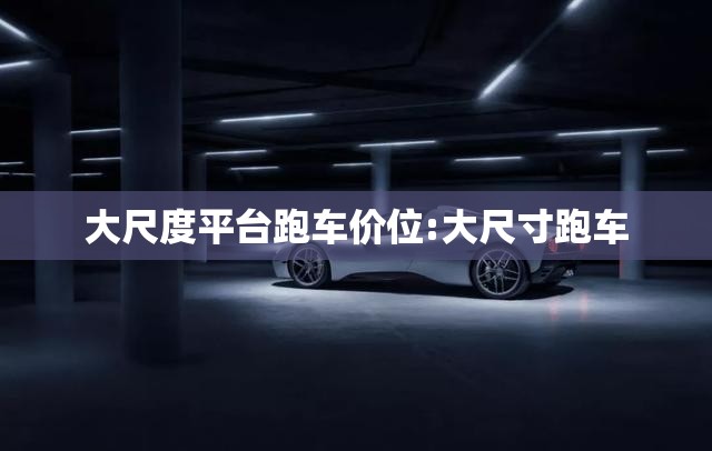 大尺度平台跑车价位:大尺寸跑车