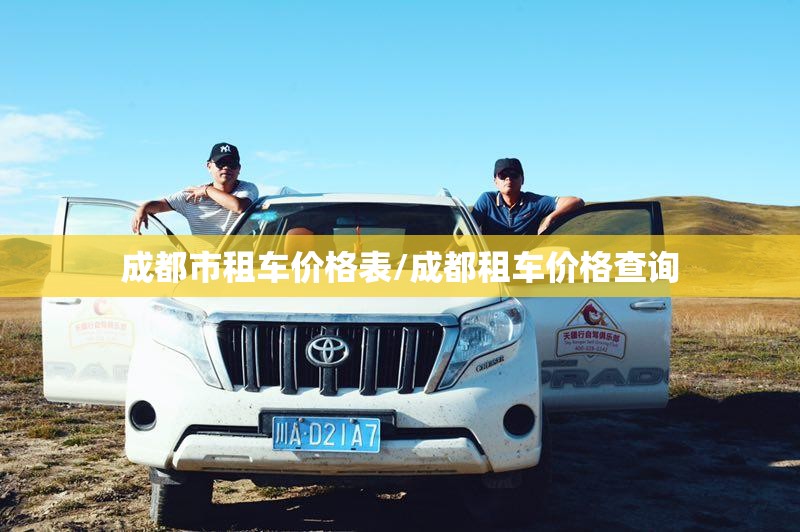 成都市租车价格表/成都租车价格查询