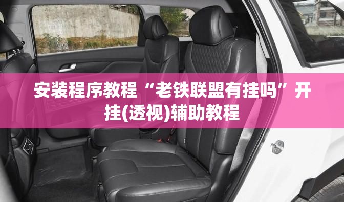 安装程序教程“老铁联盟有挂吗”开挂(透视)辅助教程