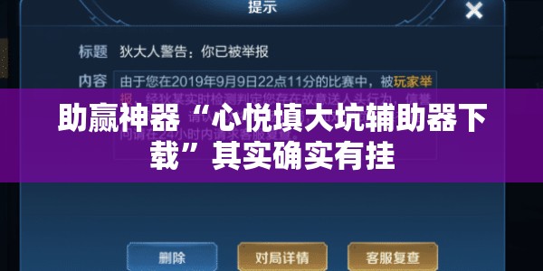 助赢神器“心悦填大坑辅助器下载	”其实确实有挂